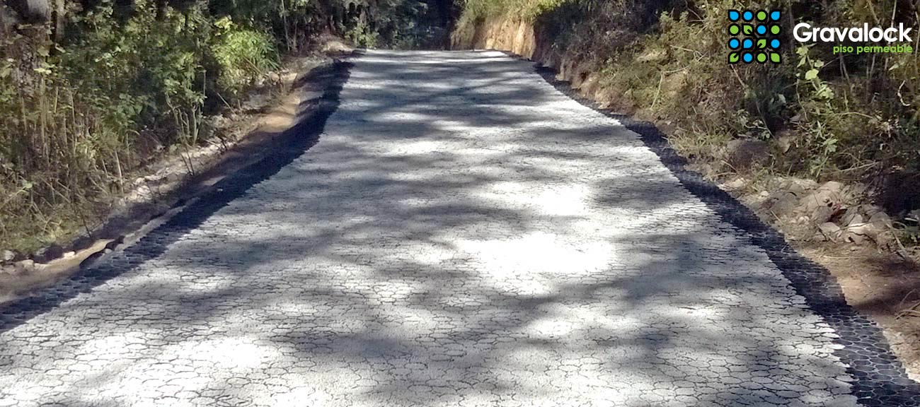 Vialidad campestre
